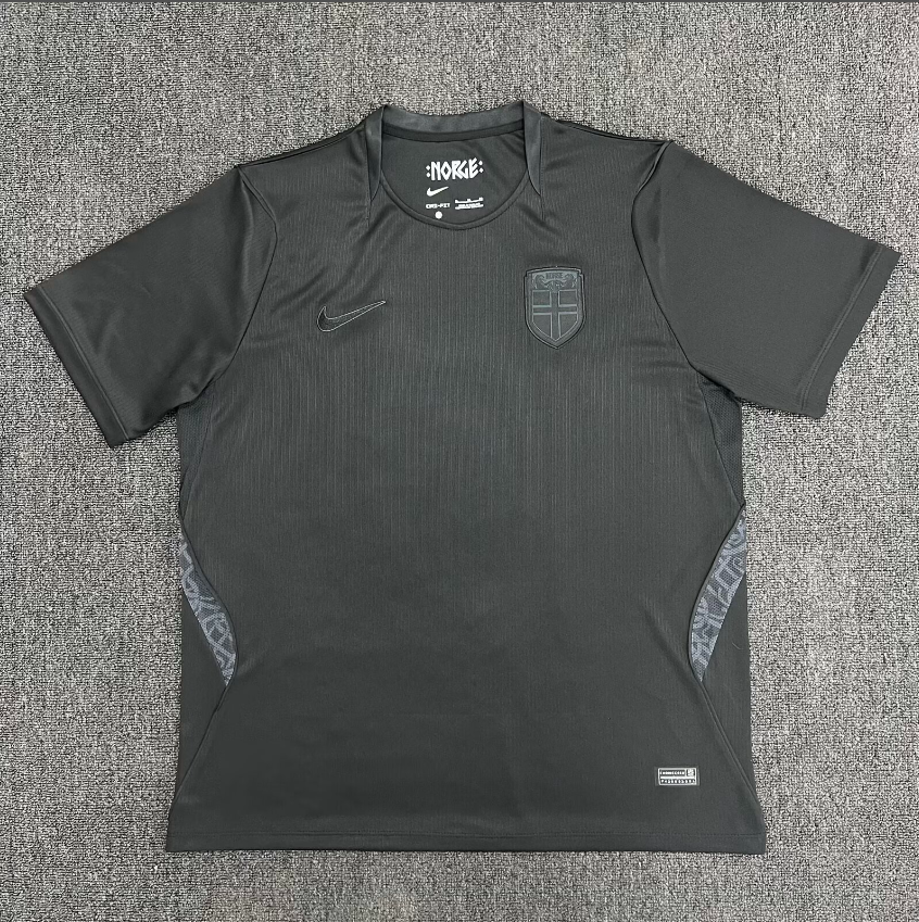 Fans Version 26/27 Norway away