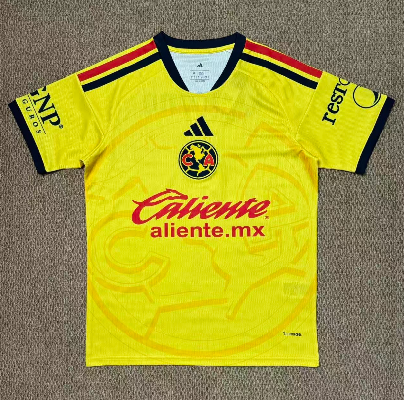 Fans Version 26/27 Americas home