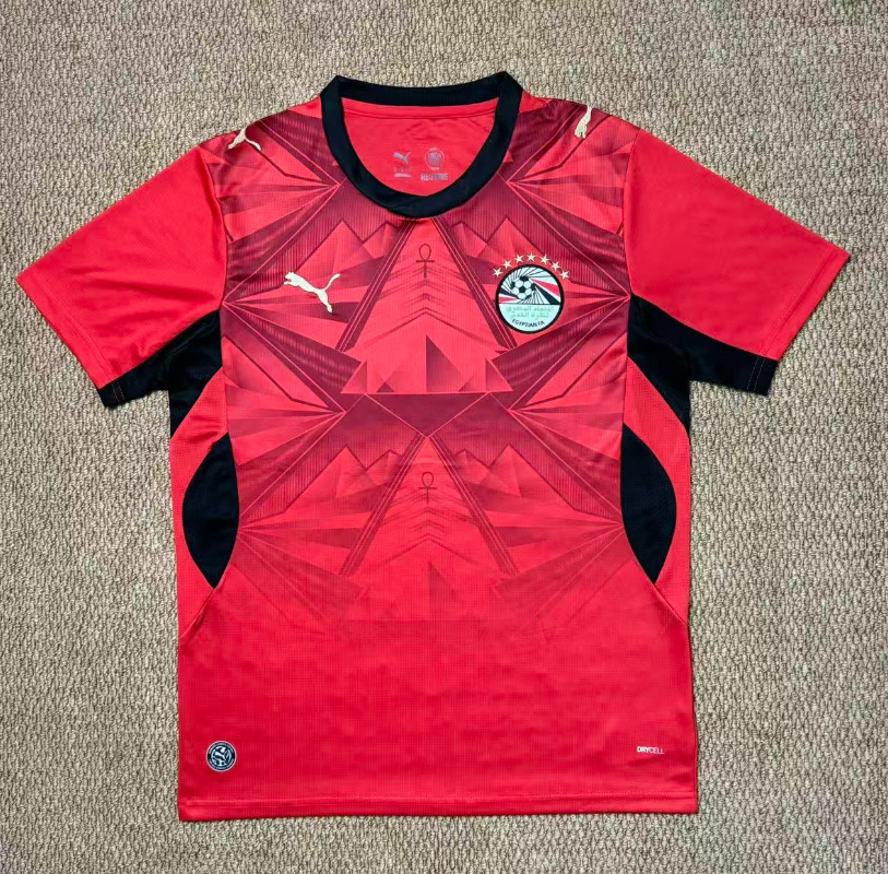 Fan version 26/27 Egypt home