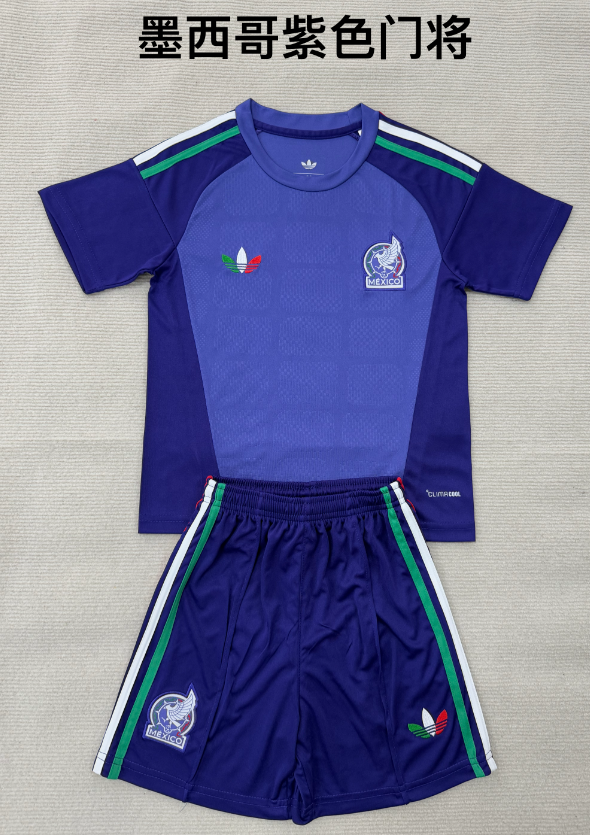 Adults kits 26/27 Mexican Purple Goalkeeper