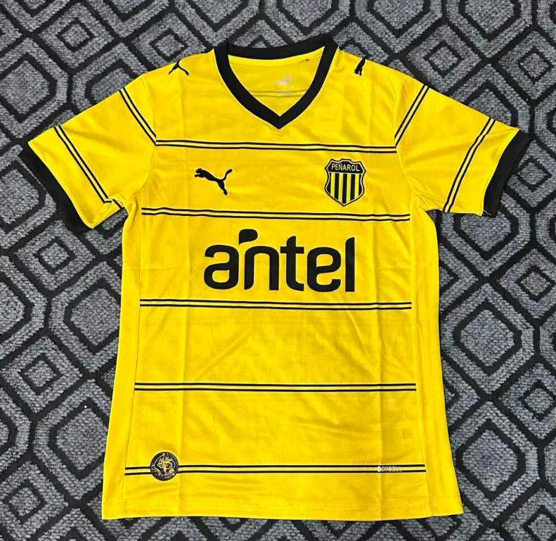 Fans Version 26/27 Penarol away