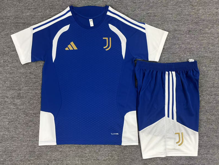 26/27 Juventus Cerulean Color  Adults Training Kits
