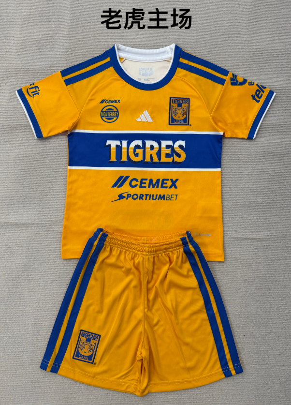 Adults kits 26/27 Tiger home